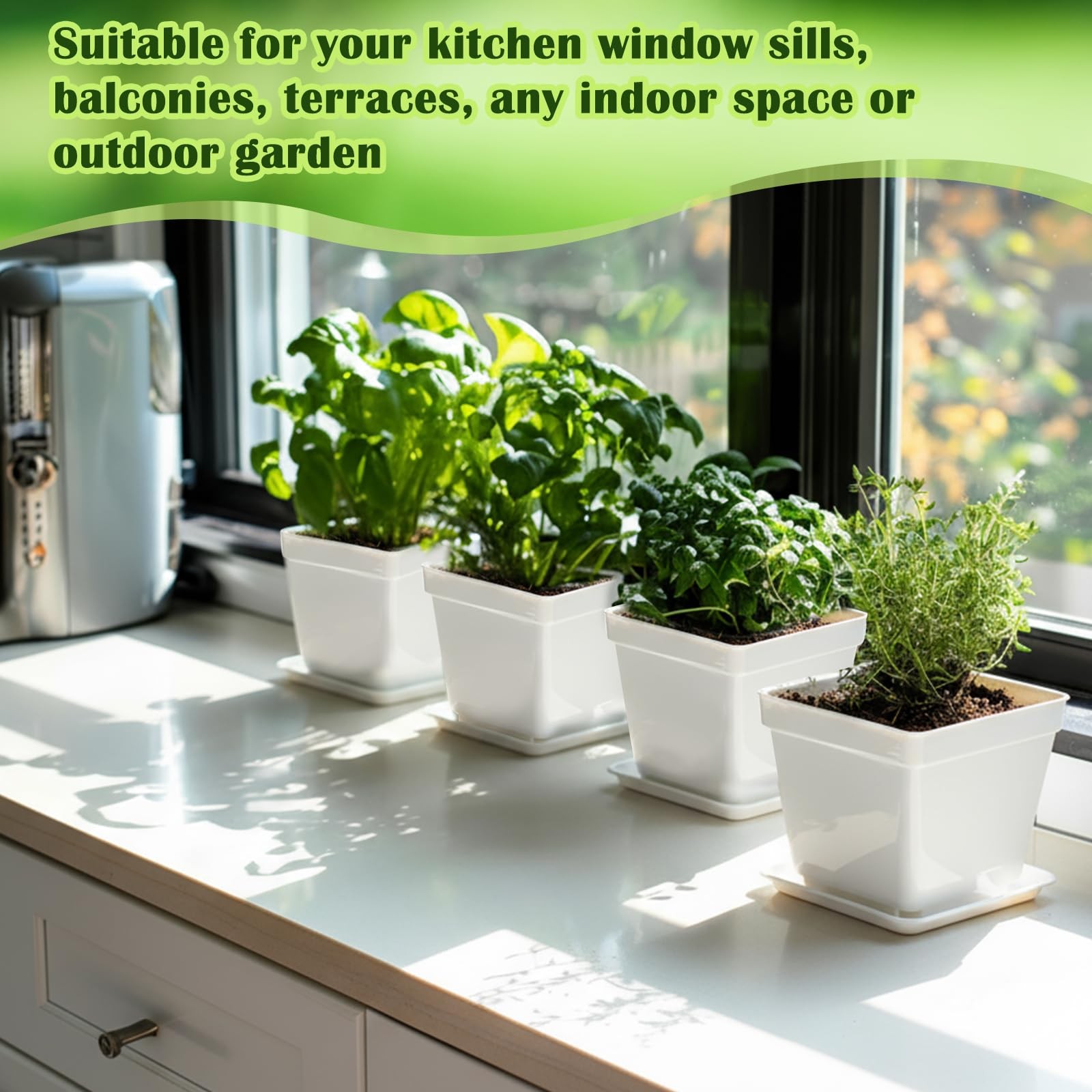 10 Set Indoor Herb Garden Starter Kit, Herb Growing Kit with Pots, Nutritiona…