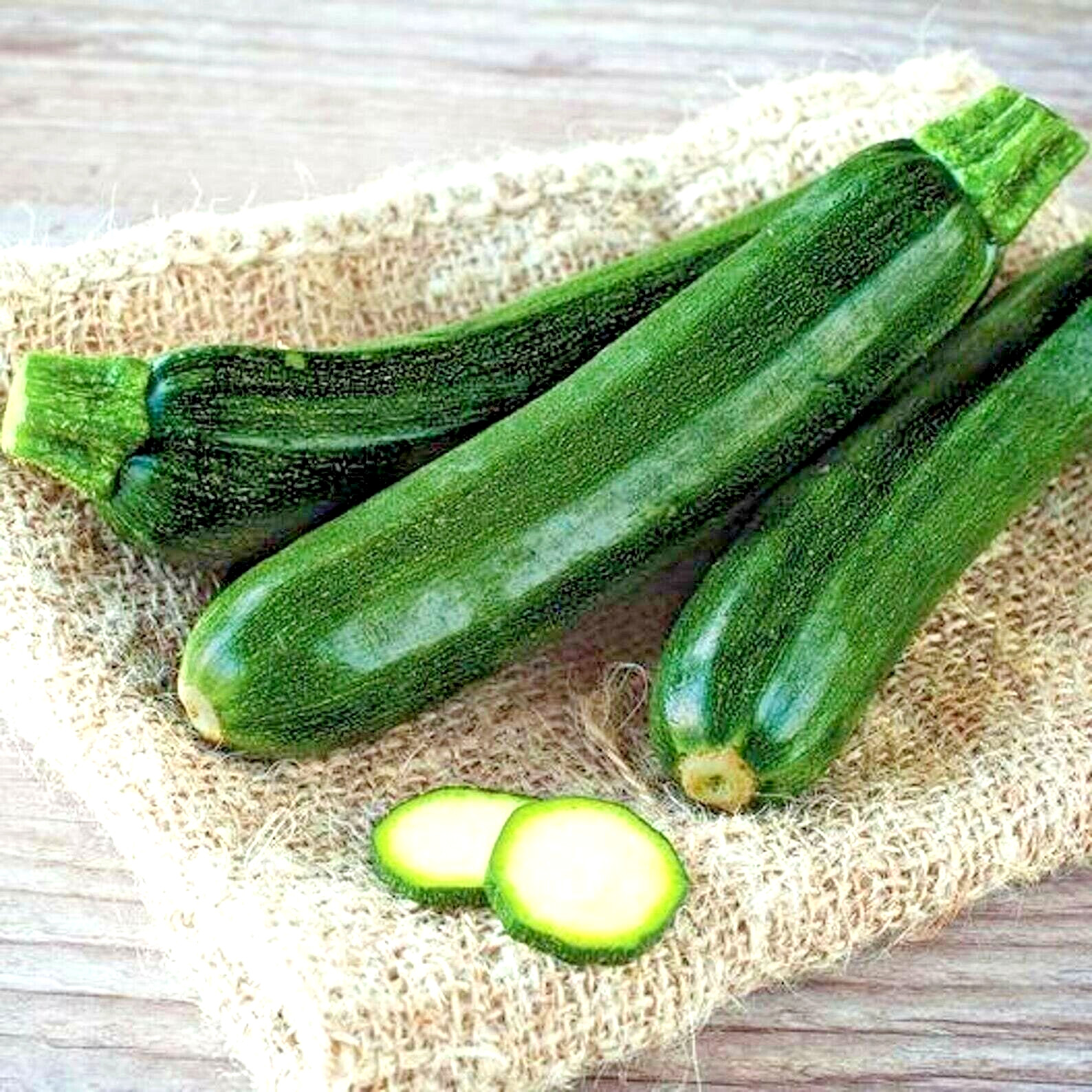 100+ SQUASH ZUCCHINI SEEDS BLACK BEAUTY SPRING HEIRLOOM VEGETABLE GARDEN NON-GMO