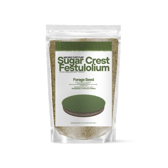 Old Cobblers Farm™ Wicked Tuff Turf Sugar Crest Festulolium Grass Seed