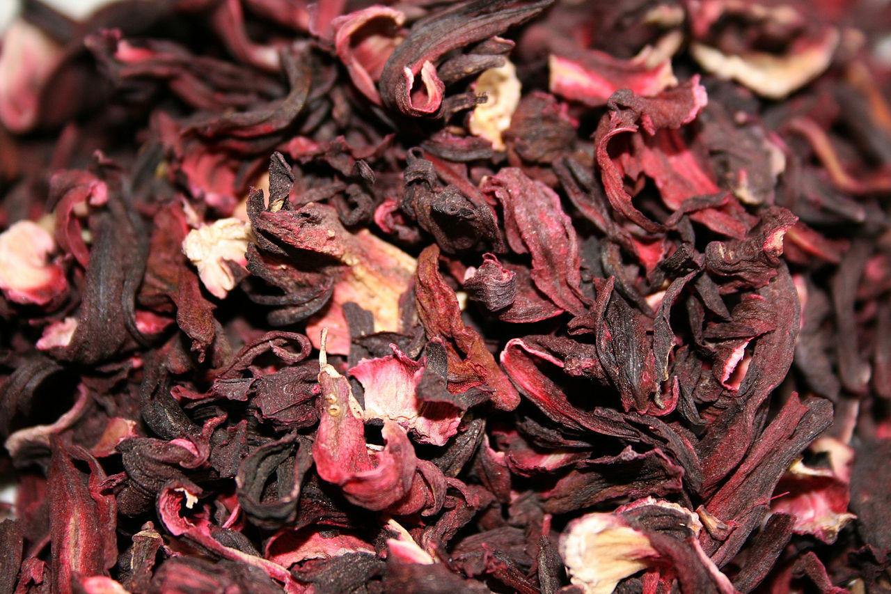 50 Roselle Seeds Asian Sour Leaf Hibiscus sabdariffa Free Shipping