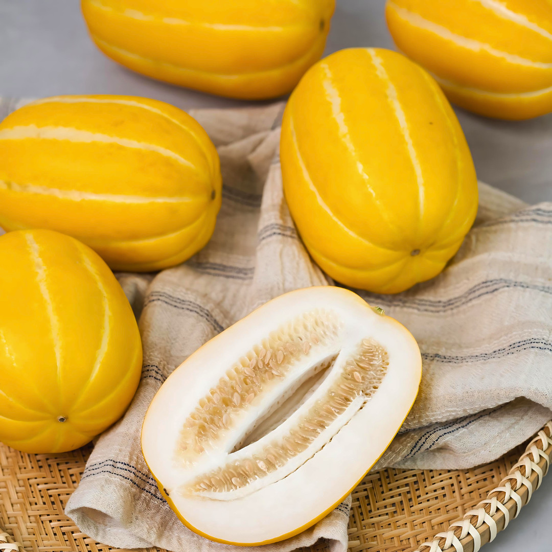 Fresh Korean Melon Seeds | Tian Gua | Heirloom Non-GMO | Asian Vegetable Seeds