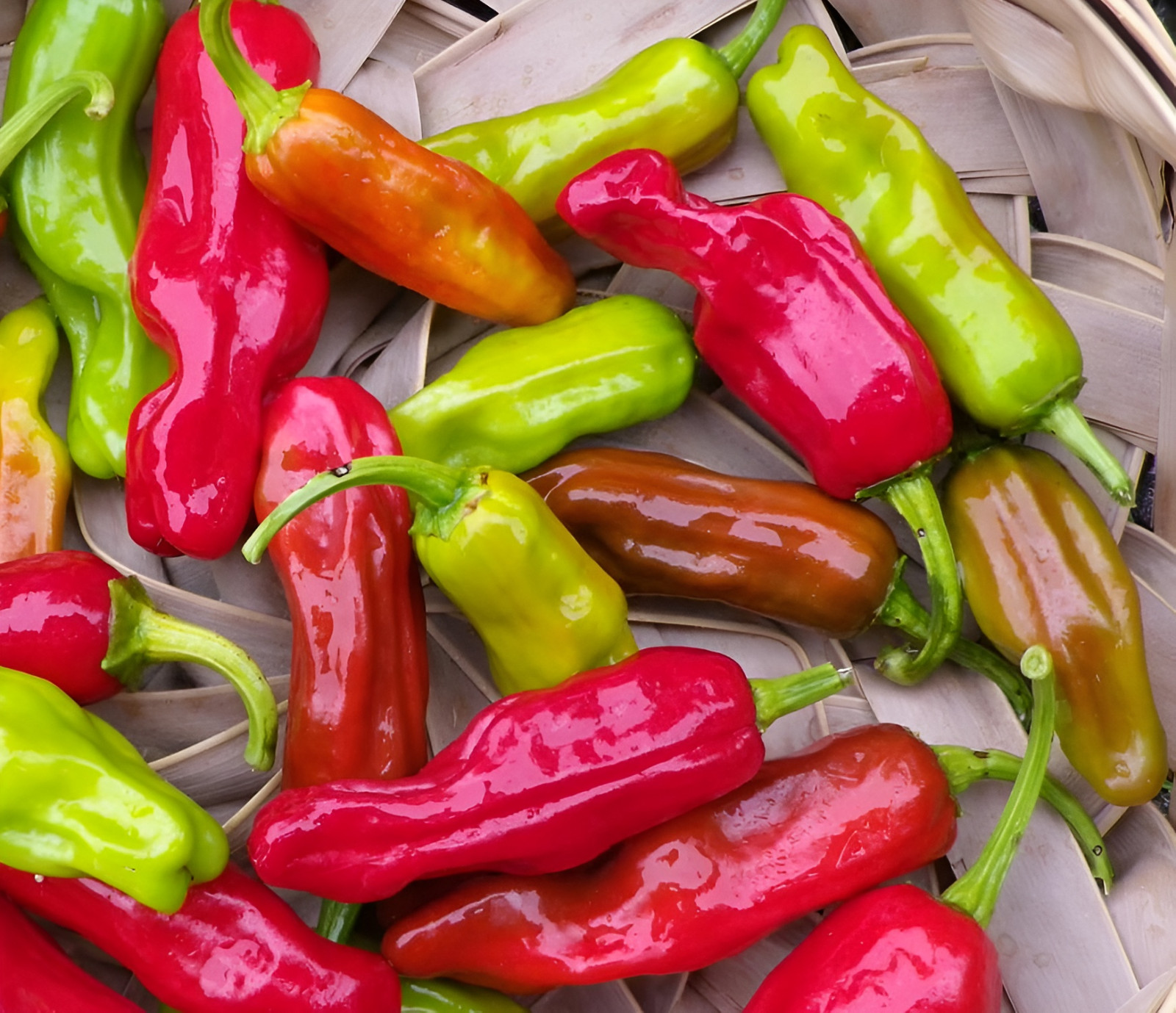 Sweet Golden Greek Pepperoncini Pepper Seeds – 60 Seeds Heirloom NonGMO Organic