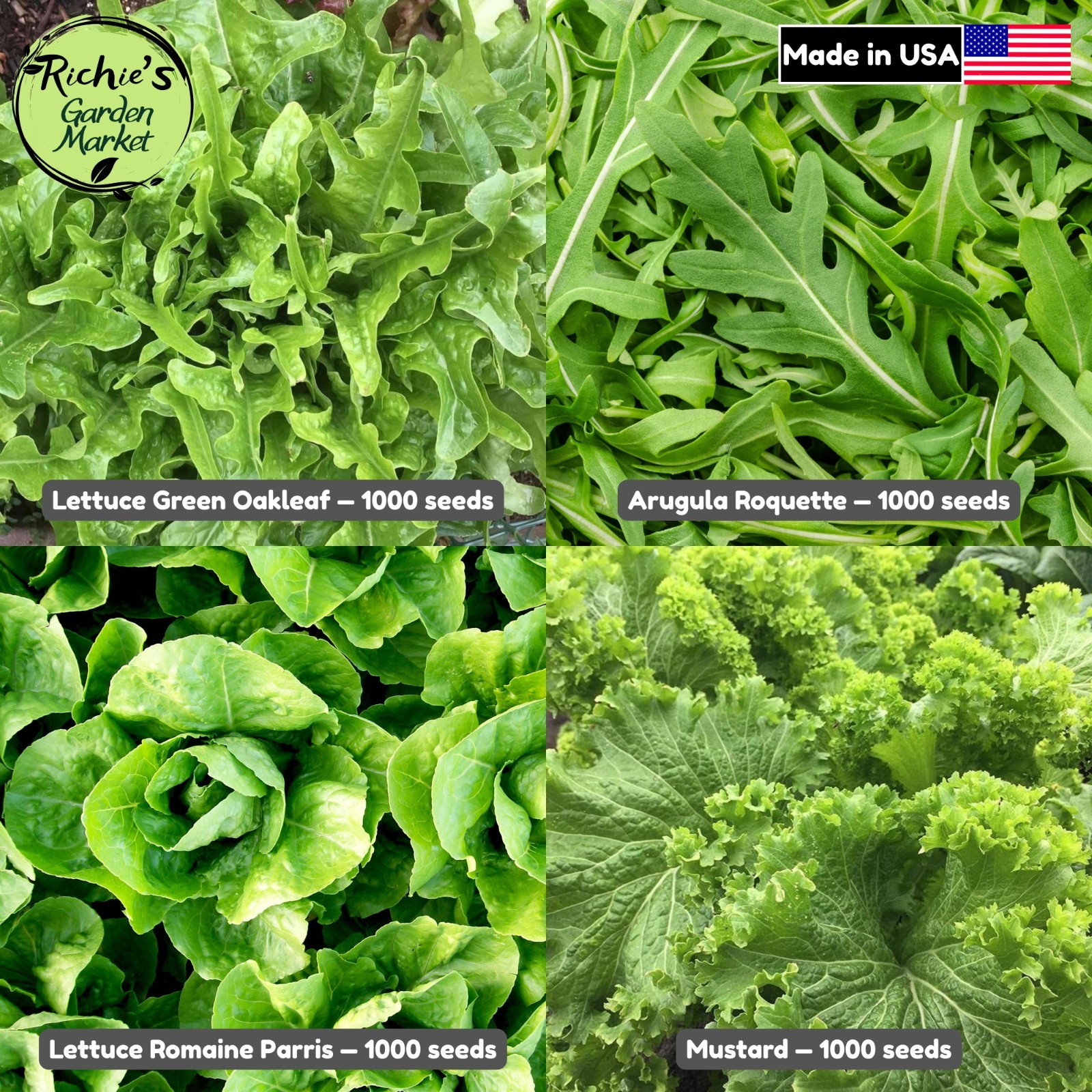 Arugula, Oakleaf, Romaine, Mustard Seeds Set, Lettuce, Non-GMO, Free Shipping