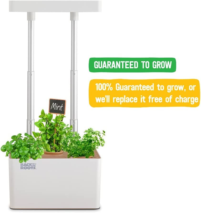 Hydroponic Grow Kit, Indoor (Matte White) Seeds Included Everything Included