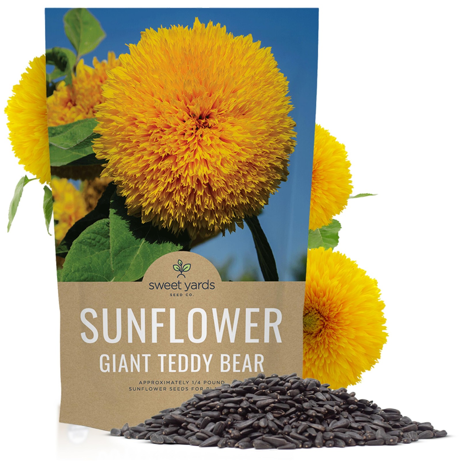 Giant Teddy Bear Sunflower Seeds – Bulk 1/4 Pound Bag – Over 5,000 Fresh Open…