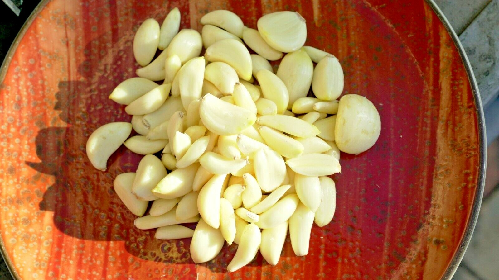 Chesnok Red GARLIC 1 bulb – 16lbs Fresh Organic Heirloom Hardneck Plant or Cook