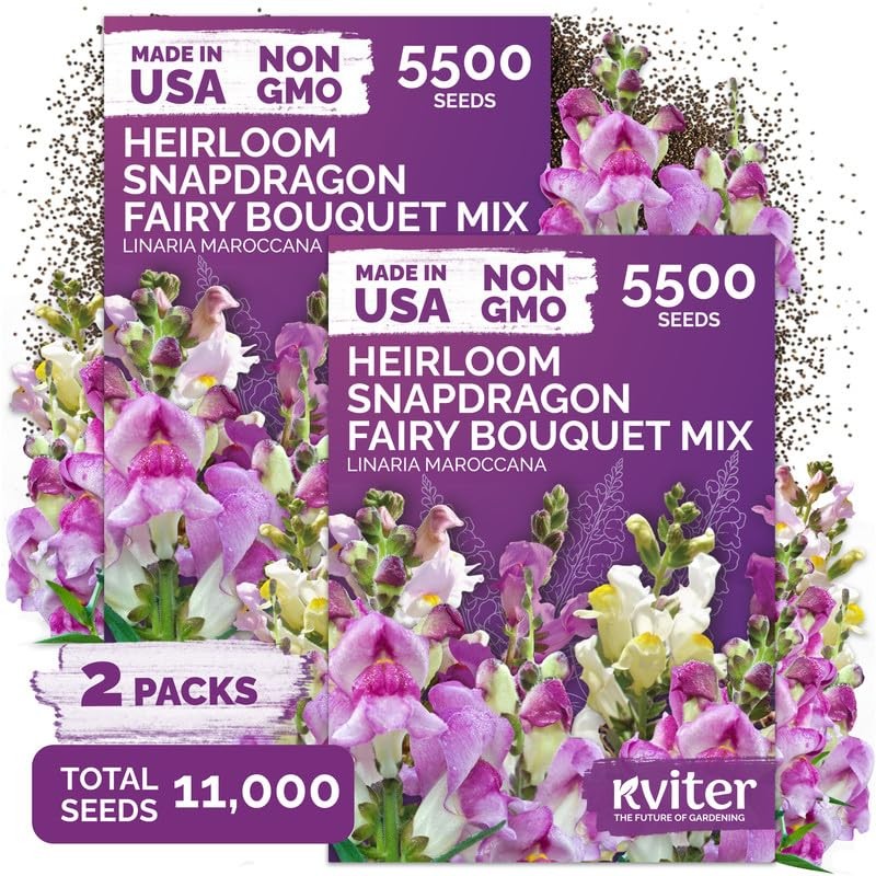 KVITER 11,000 Fairy Bouquet Mix Snapdragon Seeds (Linaria Maroccana), 2 Pack