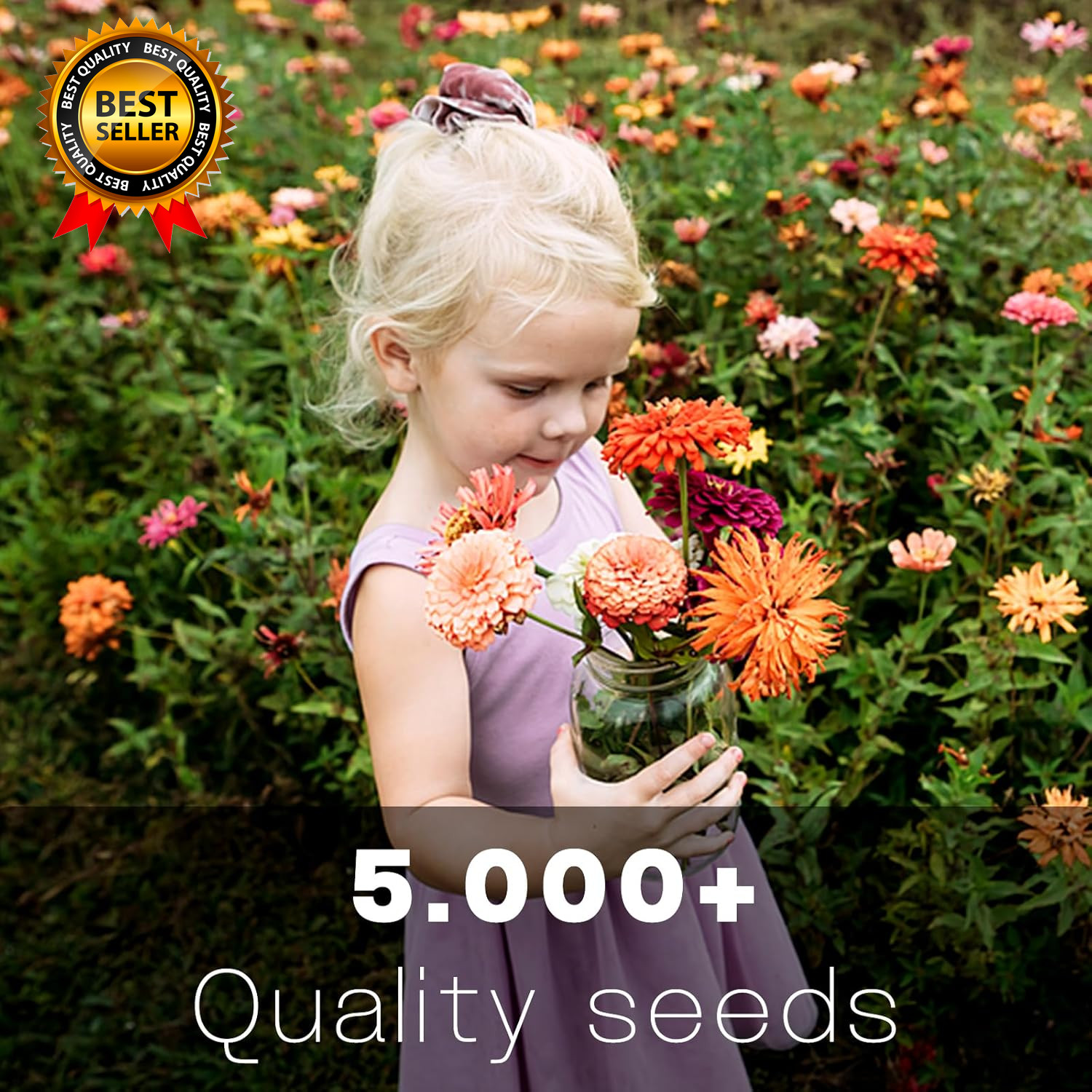 Zinnia Seeds Bulk 5,000+ | Outdoor Flower for Planting |Giant Zinnia Seeds