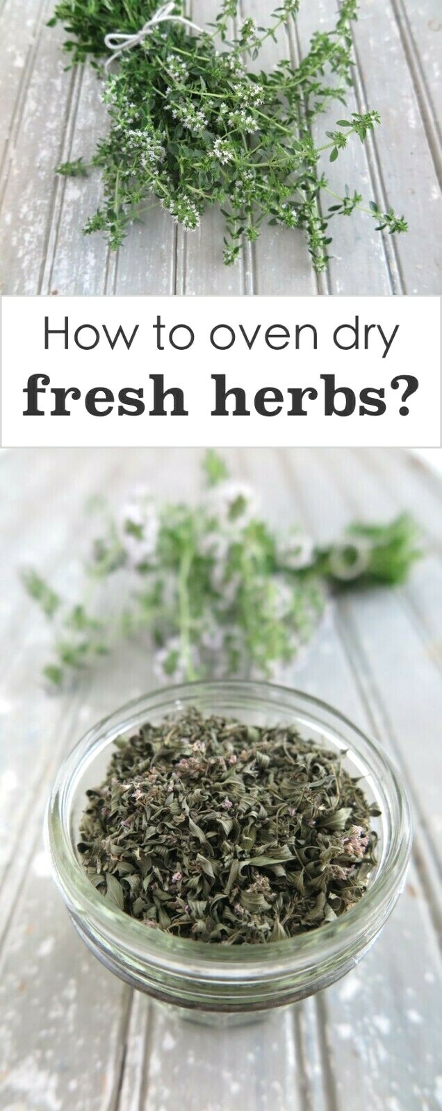ESSENTIAL KITCHEN SURVIVAL! 5 CULINARY herb varieties great taste NON-GMO SEEDS
