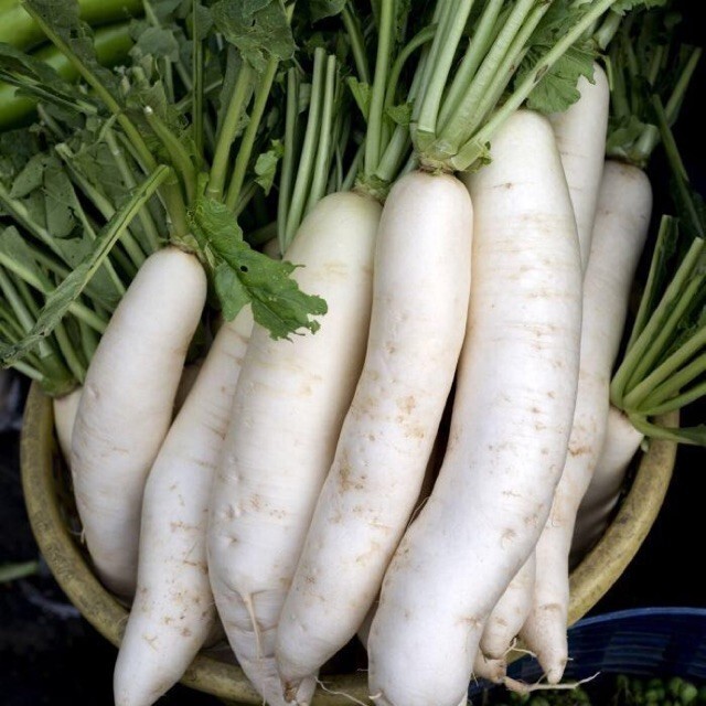 Radish Seed: China White Radish Seeds Fresh Seeds