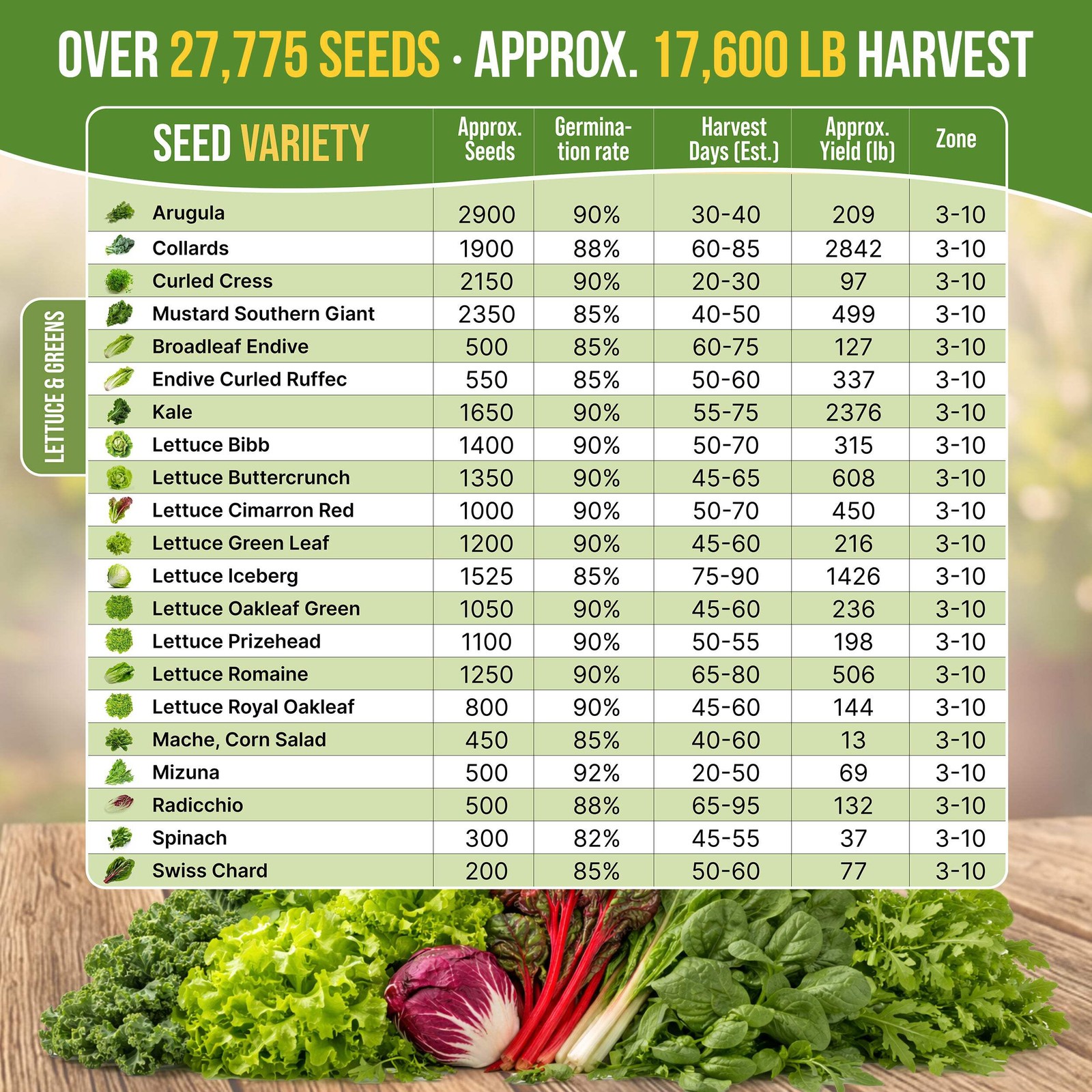 22 Lettuce & Salad Greens Seeds Variety Pack