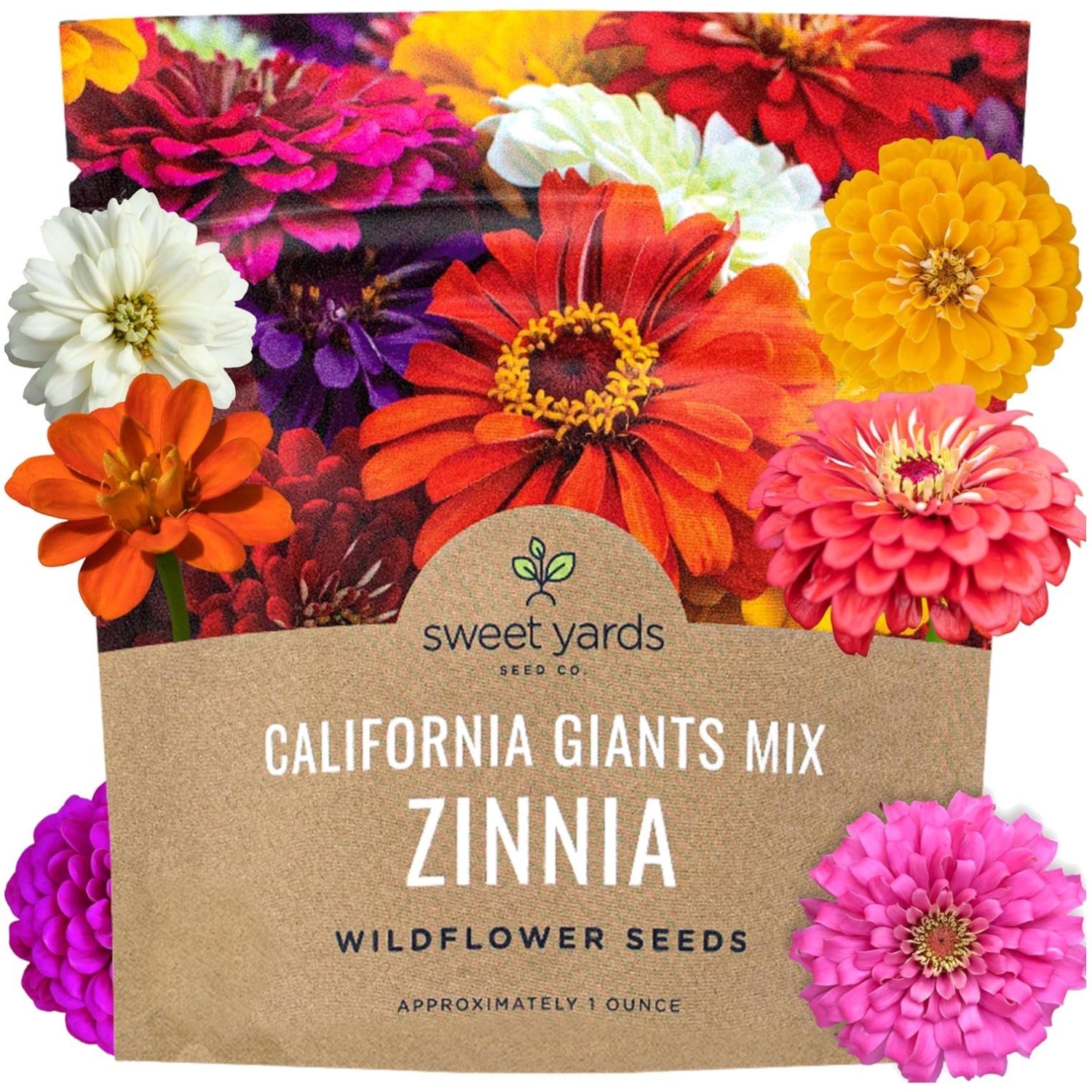 Heirloom Zinnia Seeds – 1 Ounce with 3,000 Seeds for Colorful Spring-Fall Blooms