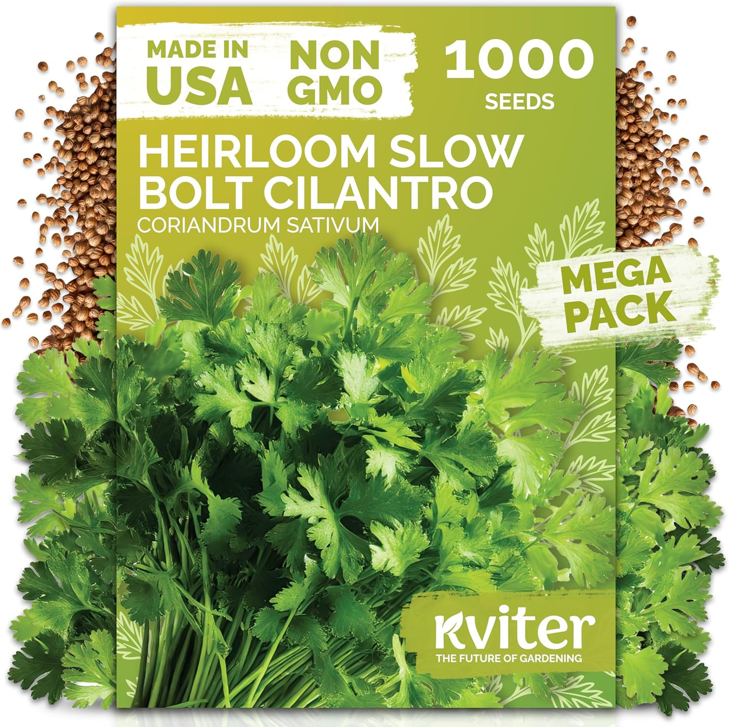 1000 Slow Bolt Cilantro Seeds (Coriandrum Sativum) – Cilantro Seed, Slow to Bolt
