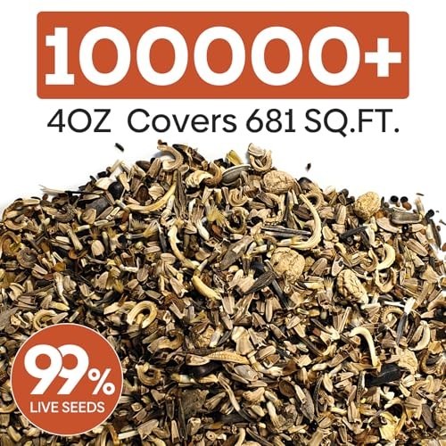 All Perennial Wildflower Seeds Bulk, 1/4 Lb, 100,000+ Seeds, 26 Variety Mix