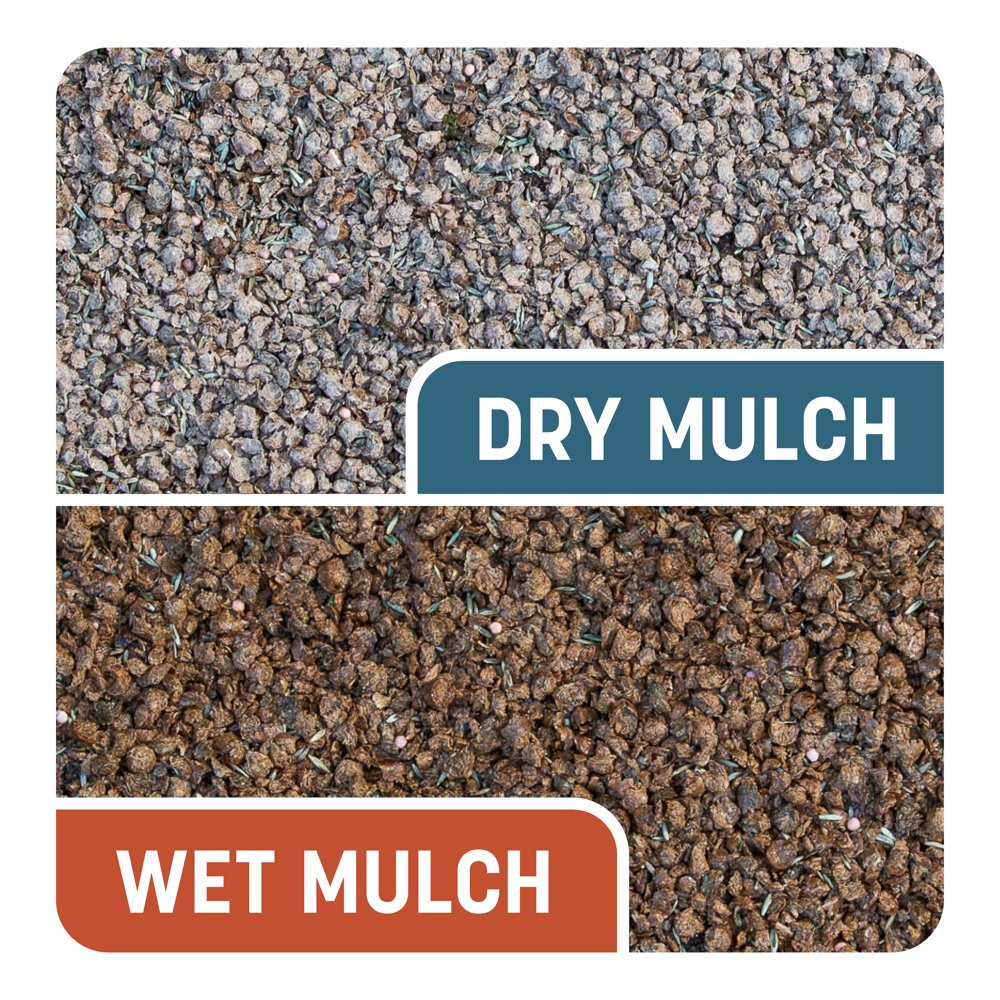 PENNINGTON GRASS SEED Smart Patch Bermuda Mix for Full Sun