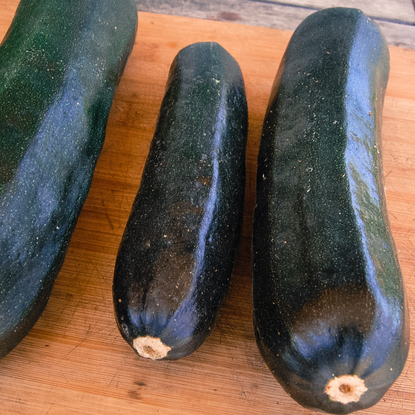 BLACK BEAUTY ZUCCHINNI SEEDS * 20 COUNT PKT. * GLOSSY *