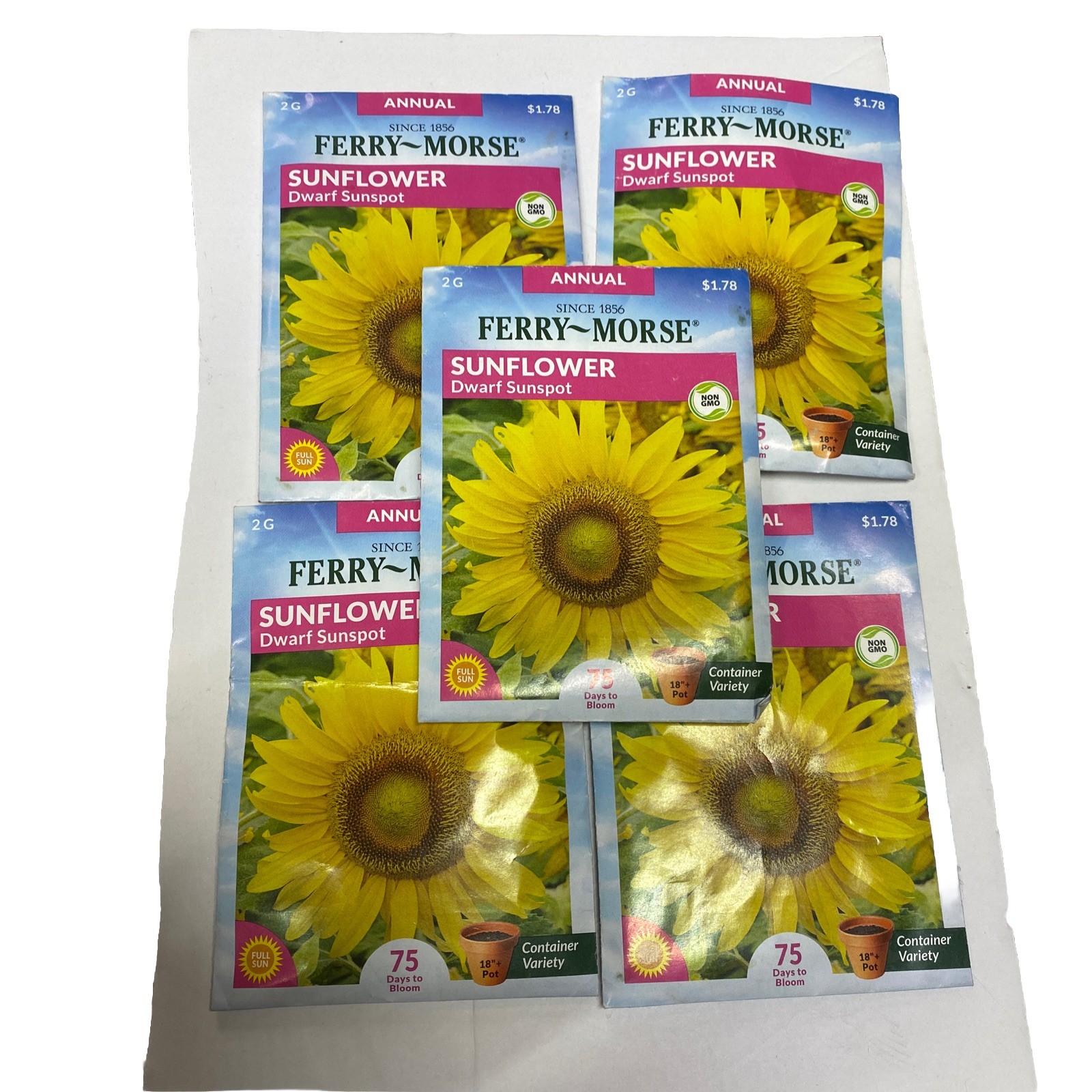 Ferry Morse Seeds FLOWERS DAWRF SUNSPOT SUNFLOWER ANNUAL -LOT OF 5 PACKS