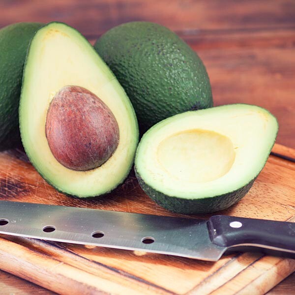 Avocado Fantastic – 3 fresh seeds
