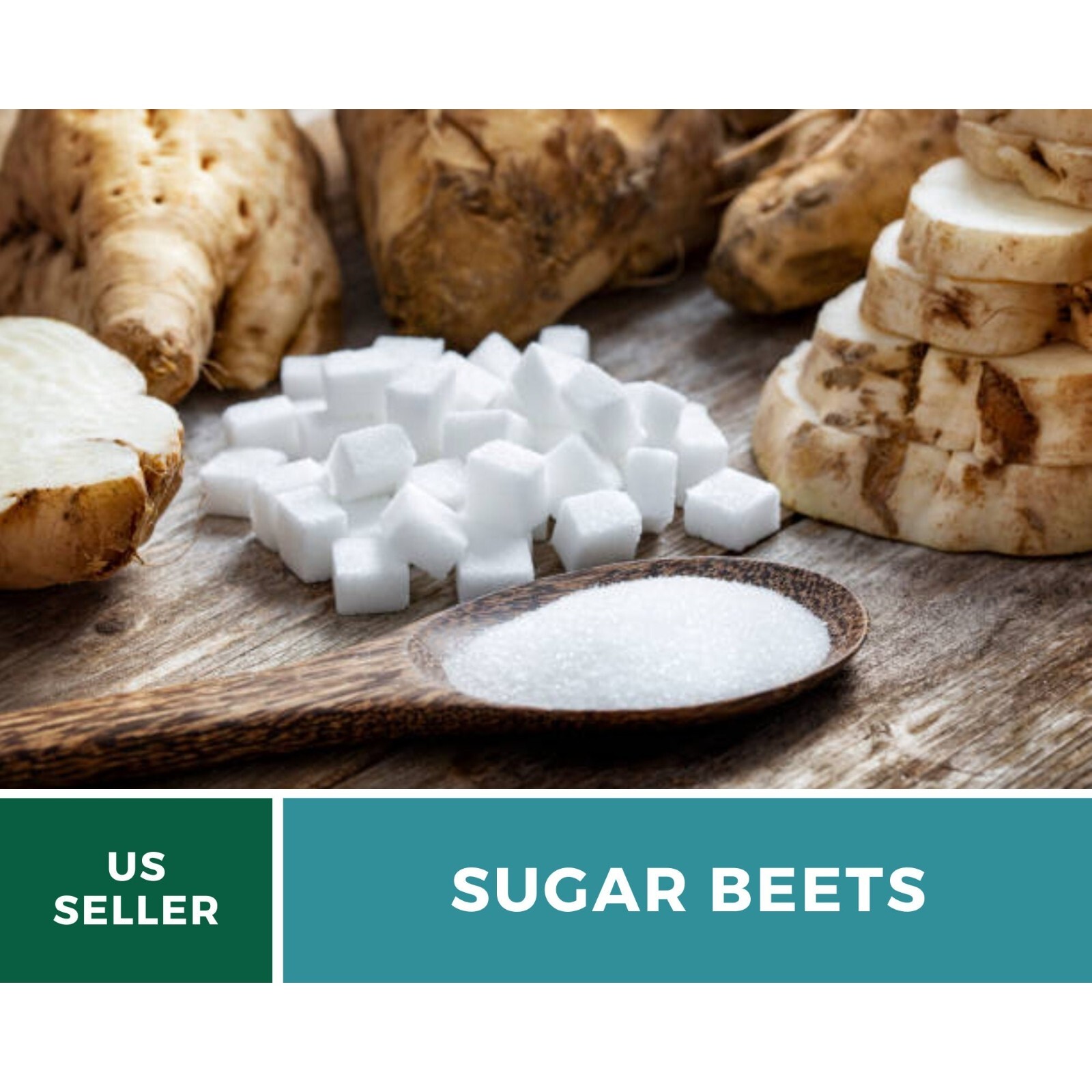 Beet, Sugar – 50 Seeds, Heirloom Vegetable (Beta vulgaris)