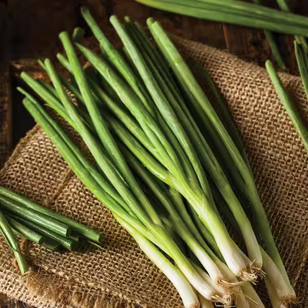 Fresh White Bunching Onion | Asian Green Onion | Heirloom Non-GMO | Vegetables