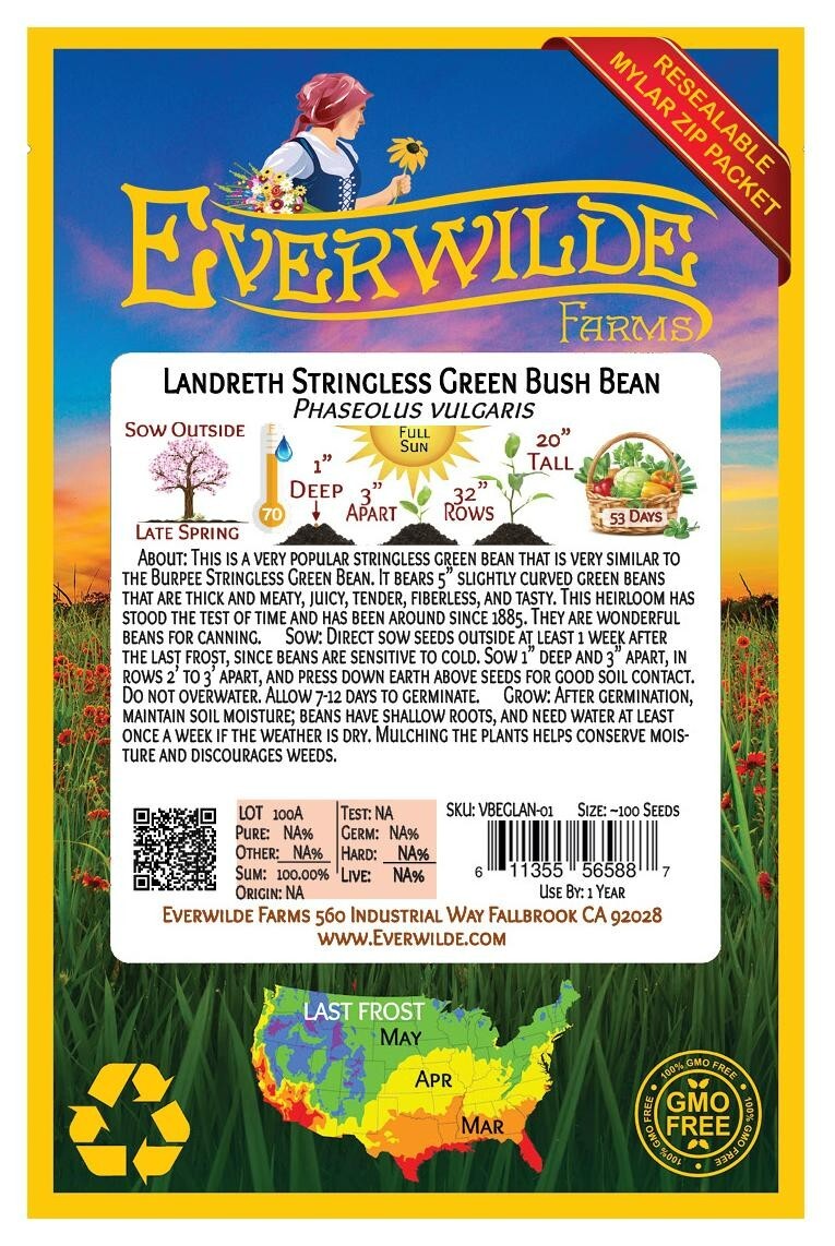 100 Landreth Stringless Green Bush Bean Seeds – Everwilde Farms Mylar Packet