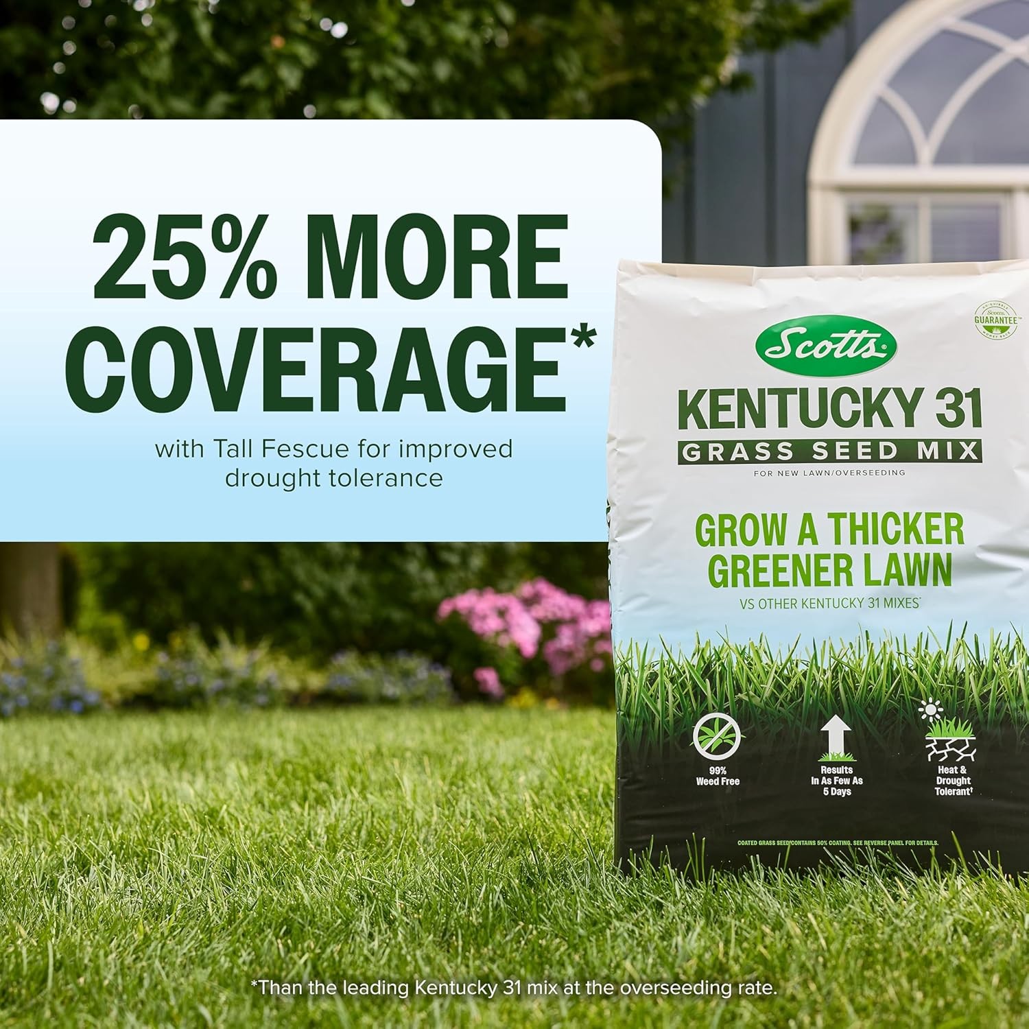 Scotts Kentucky 31 Grass Seed Mix for New Lawns or Overseeding, Grows Thicker an