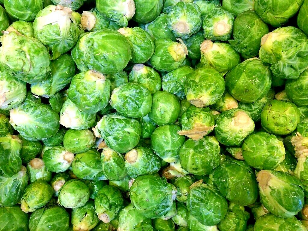 BRUSSELS SPROUTS 100 SEEDS SPRING GARDEN HEIRLOOM VEGETABLE NON-GMO GREENS USA