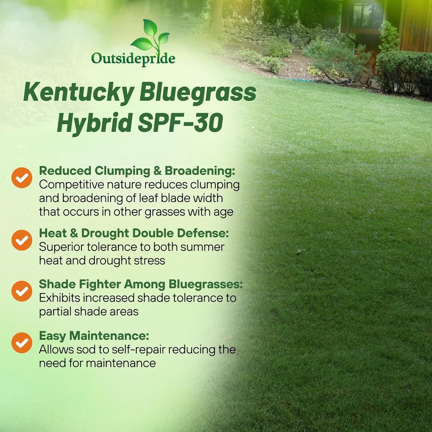 10 LBS – OptiGrowth Coated SPF-30 Hybrid Heat & Drought Tolerant Kentucky