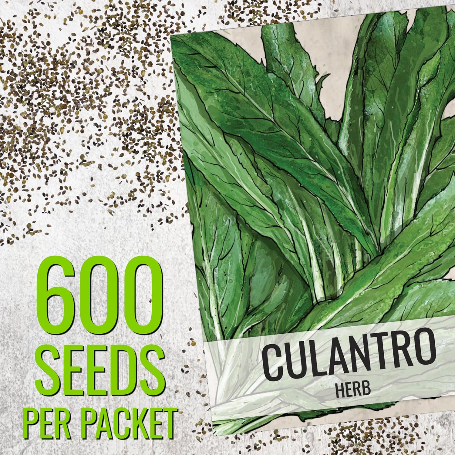 Culantro Seeds for Planting Mexican Coriander – 1 Pack