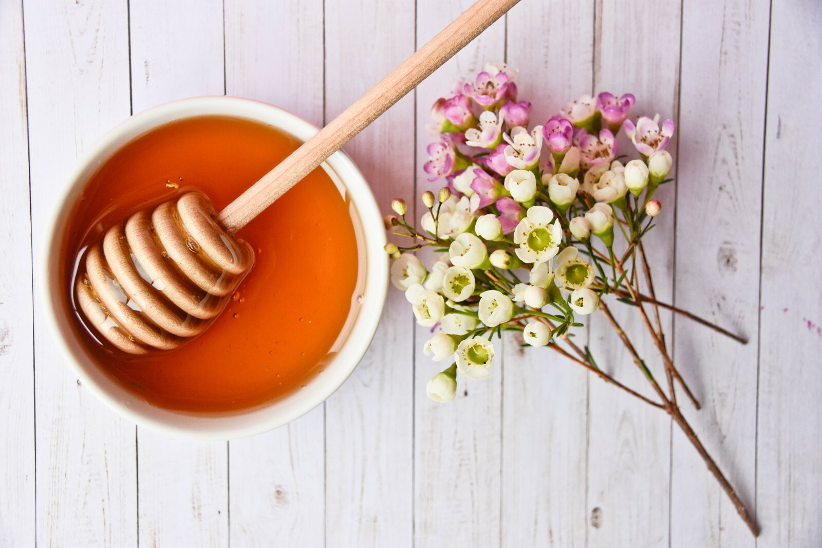100+ Manuka Tea Tree Seeds – Medicinal Tea Bush, Honey, New Zealand, USA SELLER