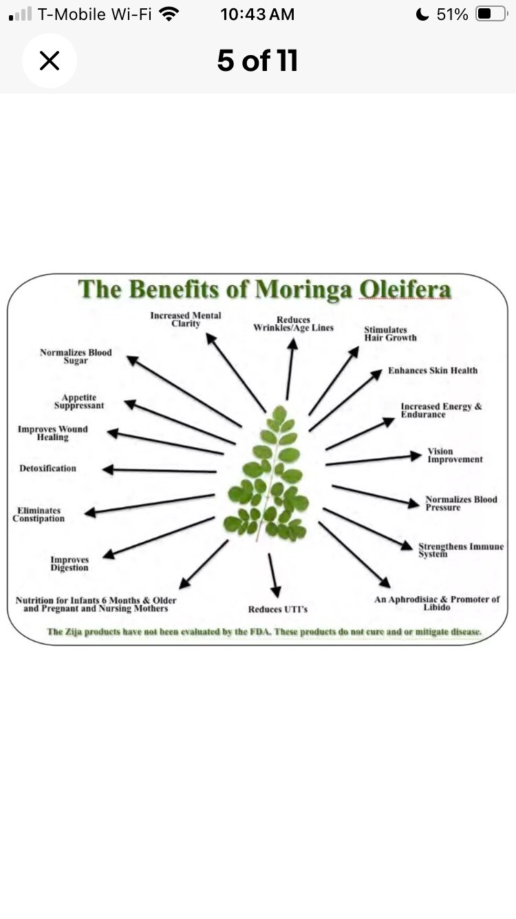 Hand Picked organic Moringa Oleifera Seeds from my Tree in Sunny Arizona🌵🌞