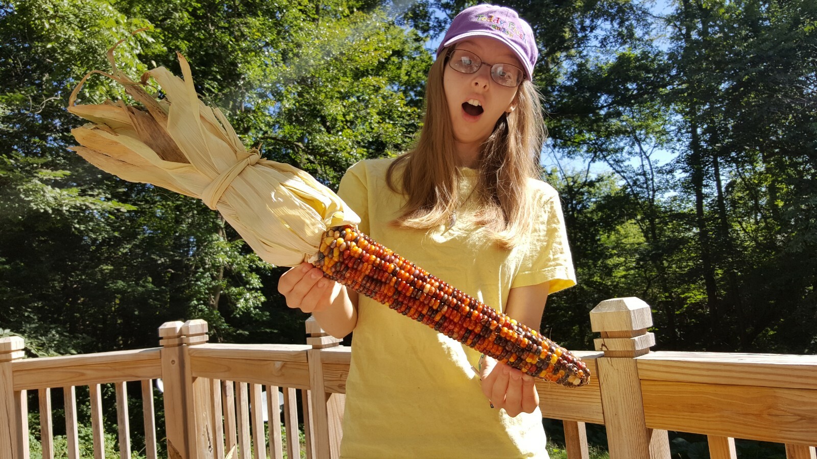Rare Giant Indian Corn Seeds X50!Colorful Massive Ears,Ornamental! Easy To Grow!