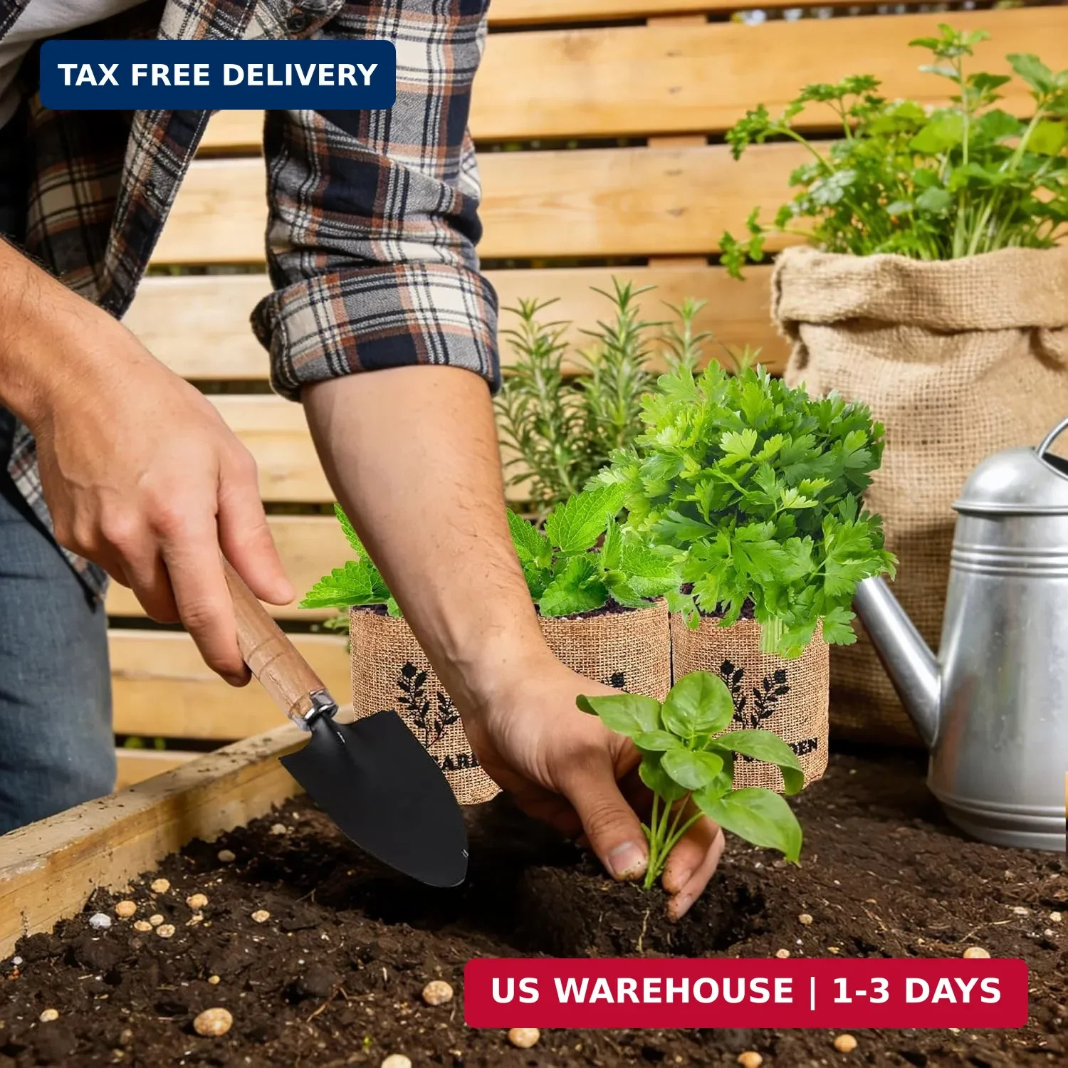 Indoor Herb Garden Starter Kit, 5 Seeds Growing into Basil, Parsley, Rosemary, T