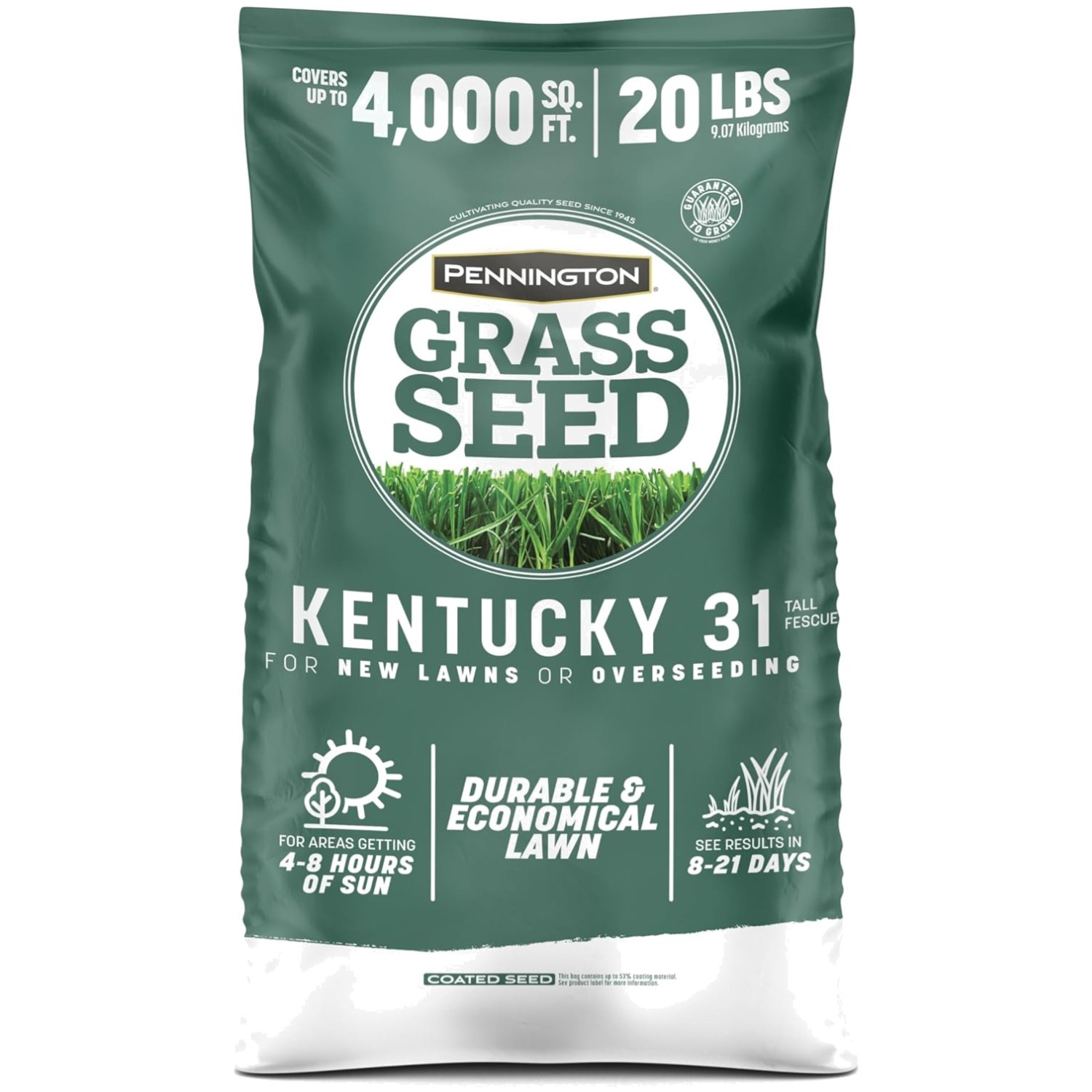 Sun & Shade Grass Seed – Thrives in Varying Light Conditions