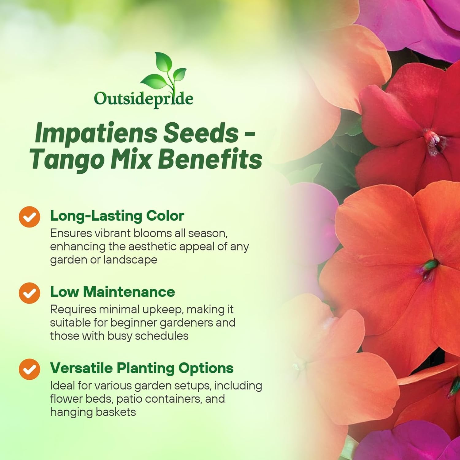 100 Seeds Impatiens Walleriana Seed Mix For Planting – Tango Mix Flower Seeds
