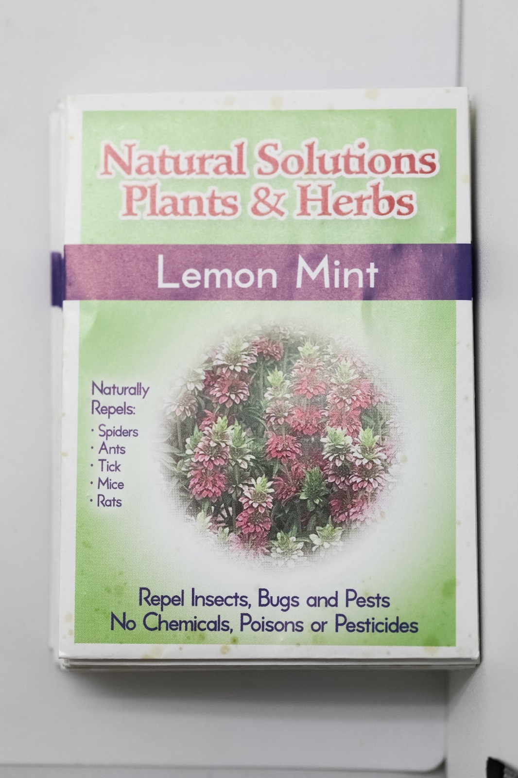 Natural Solutions Plants & Herbs Variety 10 pack of Seeds Holistic Remedies Pest