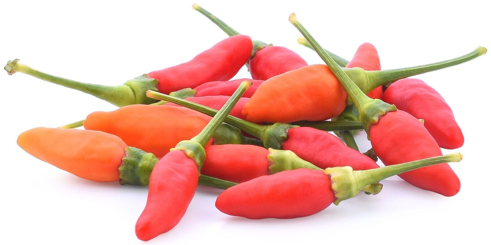 African Bird’s Eye Piri-piri Peri Peri Chile Heirloom Pepper Premium Seed Packet