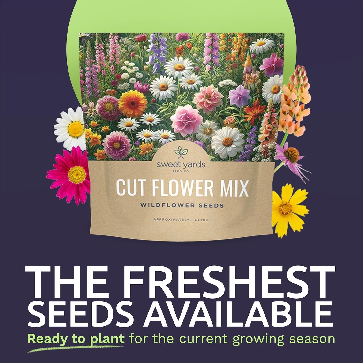 Succulent 1 Ounce Packet of Wildflower Seeds – 7500 Count, Guaranteed to Grow!