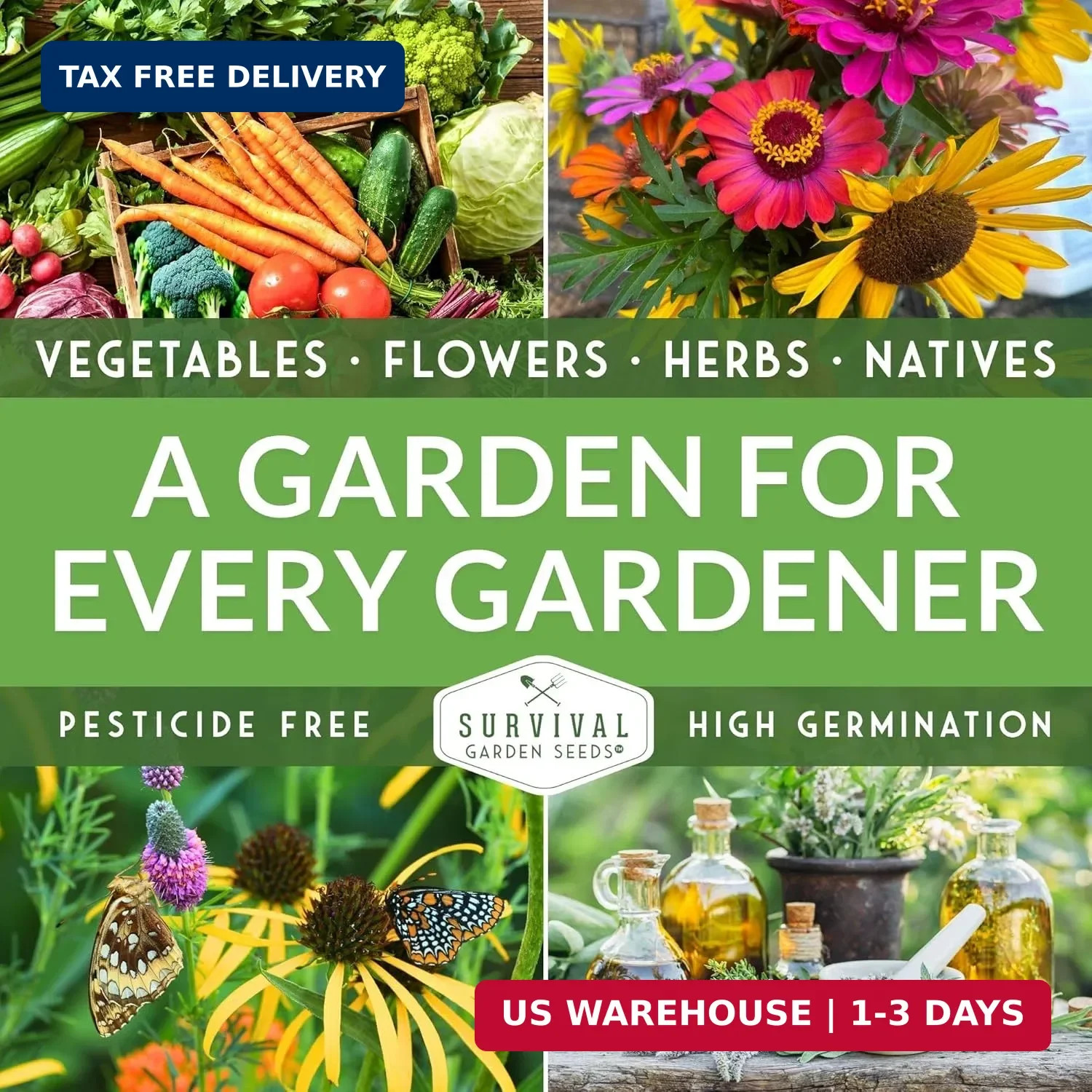 Marshmallow Seeds for Planting – Marsh Mallow Medicinal Herb, Althaea Officinali