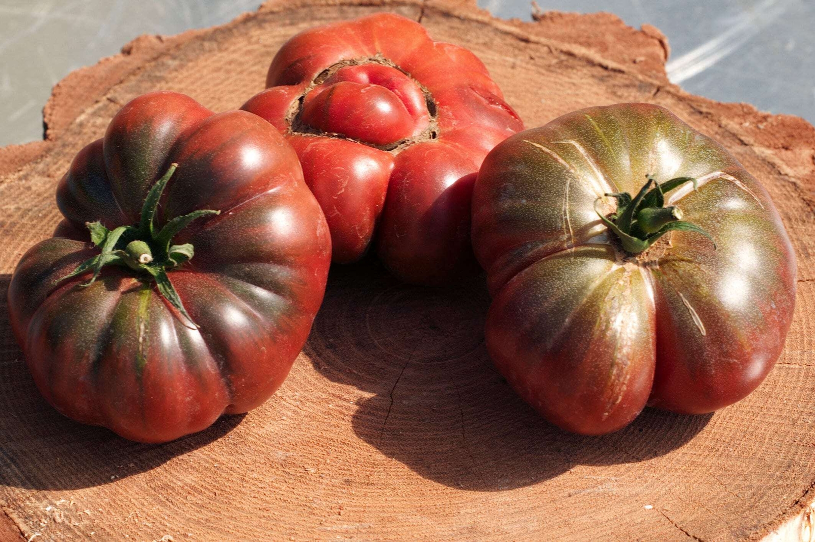 40 PURPLE CALABASH TOMATO Solanum Lycopersicum Indeterminate Heirloom Seeds