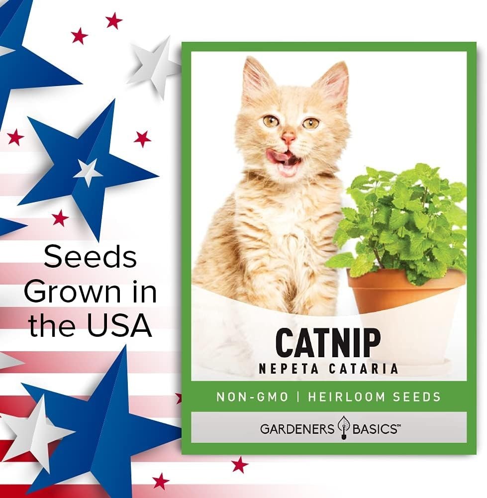 Nepeta Cataria Seeds – Heirloom & Non-GMO for Cat Happiness Indoors or Outdoors