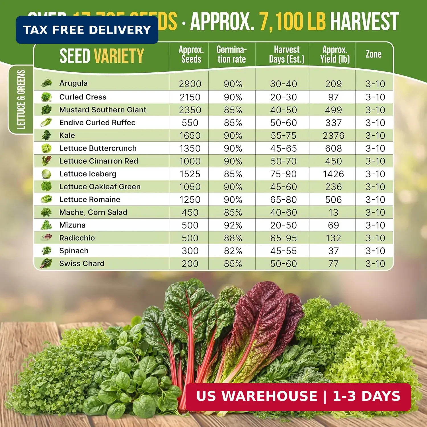 Organo Republic 15 Lettuce & Salad Greens Seeds Variety Pack 17700+ Non-GMO Heir
