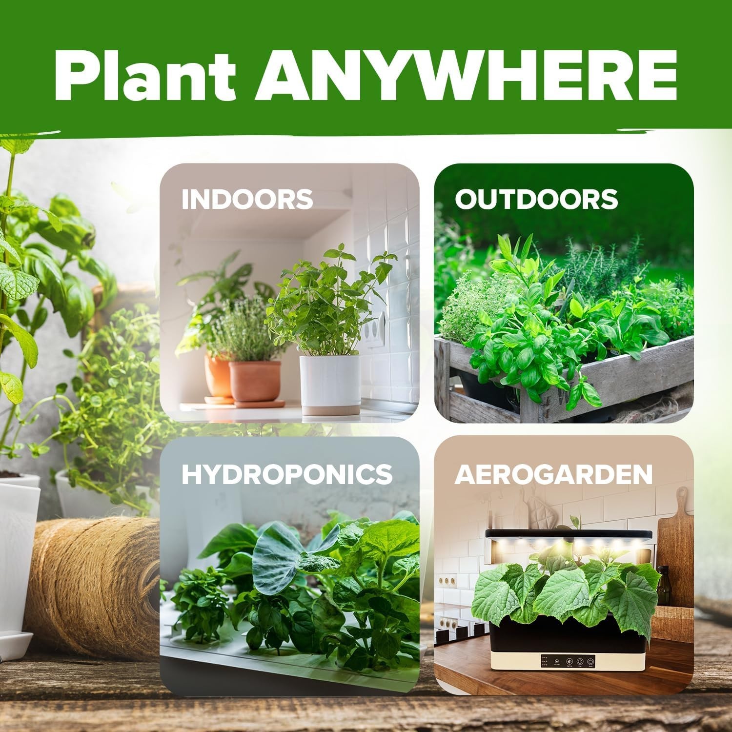 Culinary & Medicinal Herb Seeds Variety Pack – 6,000+ Seeds for Homegrown Flavor