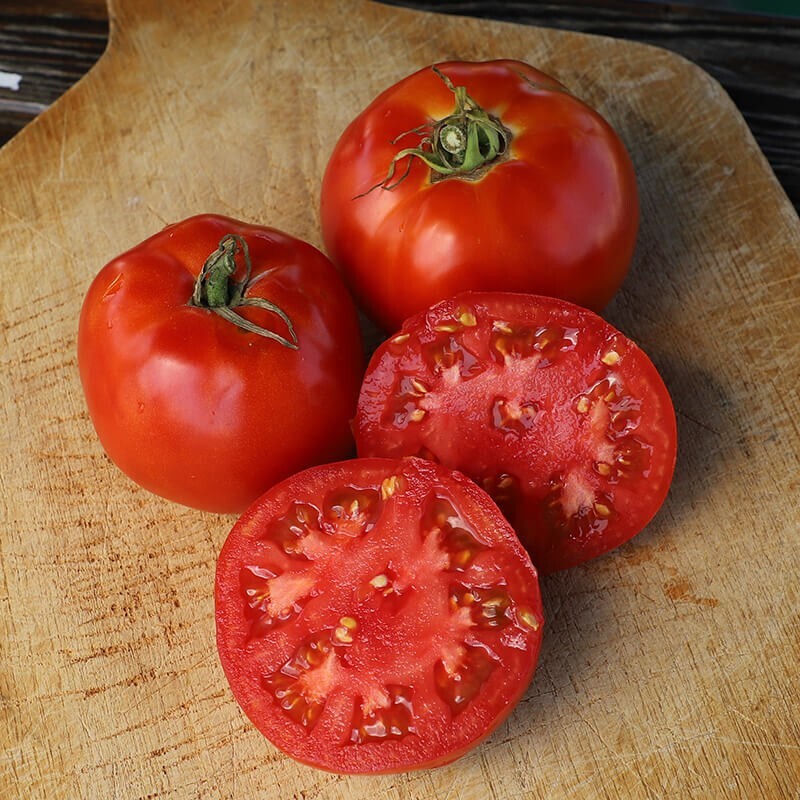 Parks Whopper tomato seeds New for 2024 season 20 count 100% satisfaction