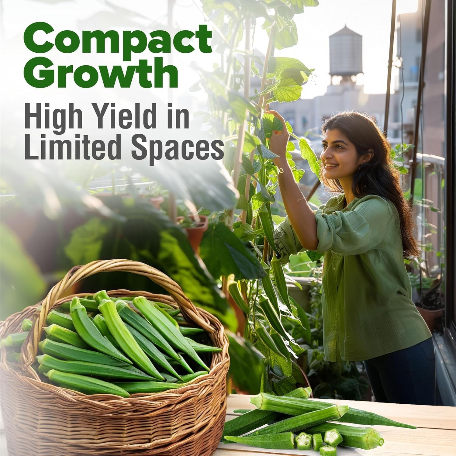Heirloom Okra Seeds 101+ with High Germination Rate – Perfect for Garden Lovers
