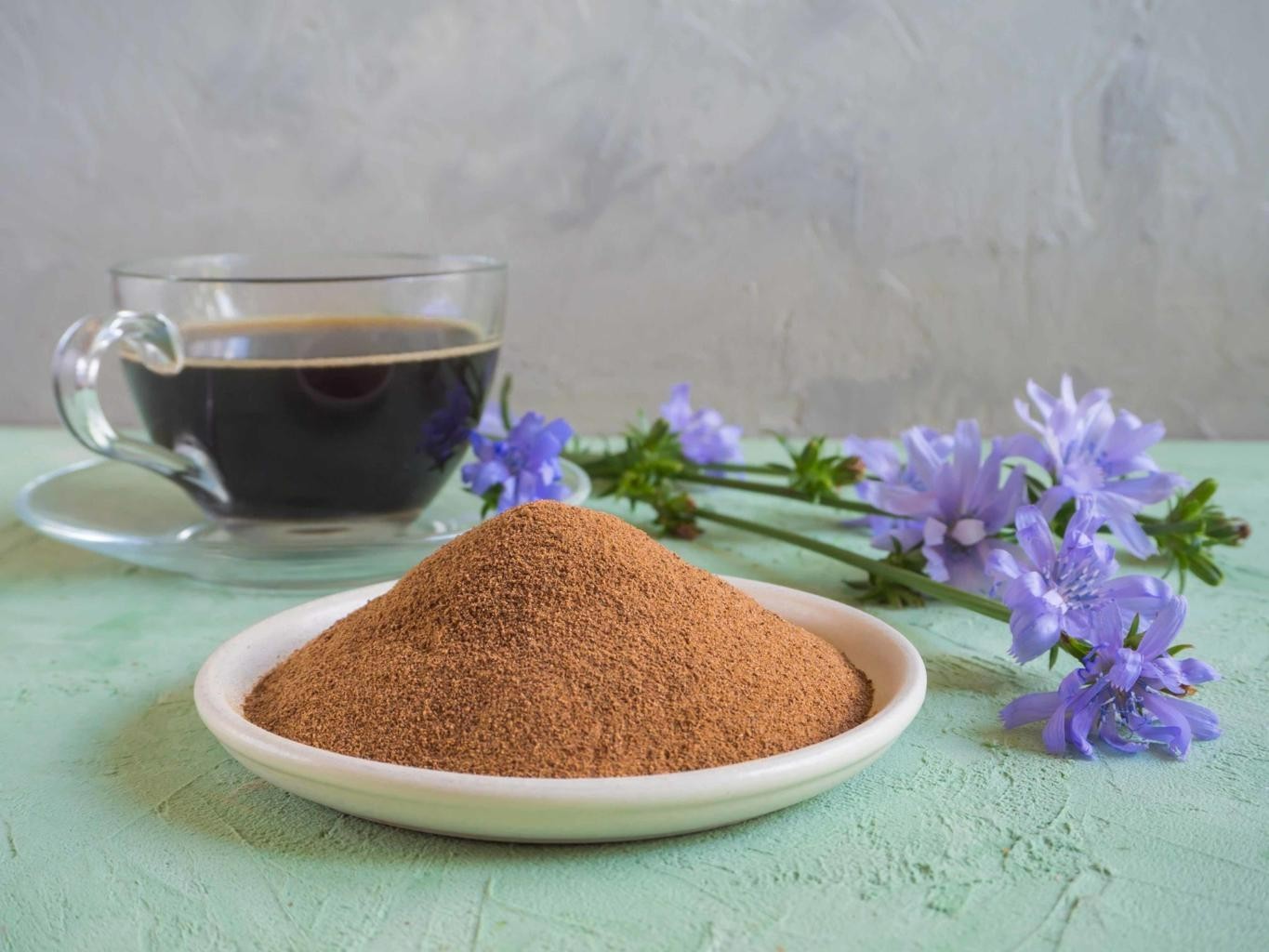 1000 Chicory Seeds, Cichorium intybus, Pollinator Friendly, Coffee Substitute