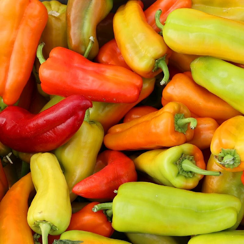 50+ CUBANELLE SEEDS NON-GMO FRESH FOR YOUR GARDEN