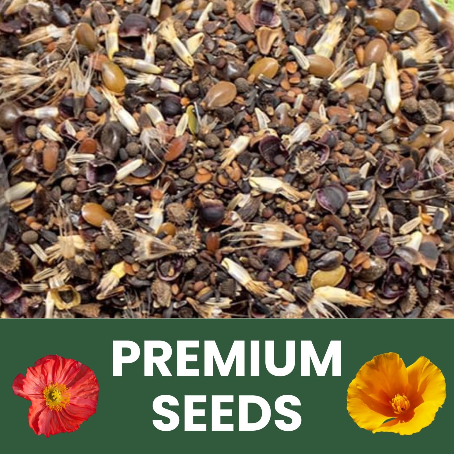 California Regional Seed Mix – 19,000 Seeds for Planting – 1 Ounce Pouch