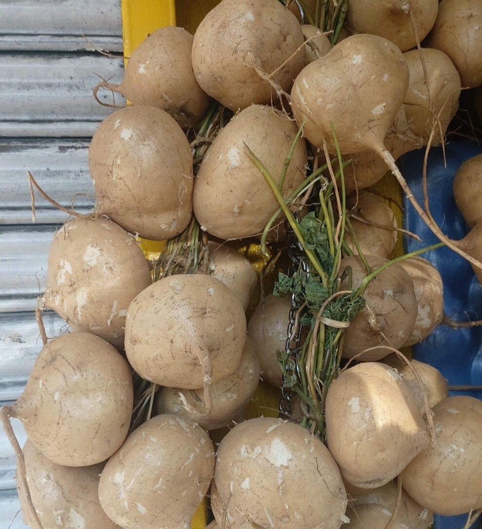 300+ SEEDS-Singkamas /Mexican Yam Bean Root, Cu Dau, Man Kaew for planting.