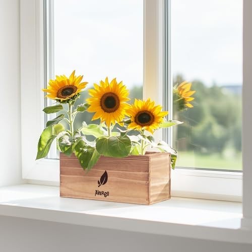 Sunflower Seeds Growing Kit – Complete Indoor & Outdoor Planting Set with Soil,